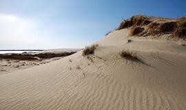 Žinia Niujorko turizmo parodos lankytojams: prieš mirštant būtina aplankyti Vilniaus senamiestį ir Kuršių neriją