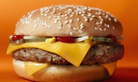 Prancūzijoje jautienos produktuose taip pat aptikta arklienos