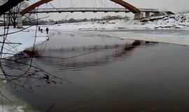 Vos spėjo nušokti nuo atskilusios ledo lyties