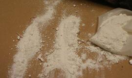 Ispanijos policija konfiskavo beveik dvi tonas kokaino