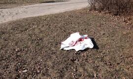 Fatališka pėsčiųjų perėja: sunkiai sužeistas vyriškis