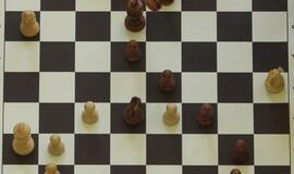 Šachmatininkas E. Rozentalis turnyre Džersyje tapo lyderiu
