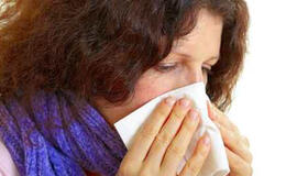 Alergijos priežastį atskleidžia kraujo tyrimas