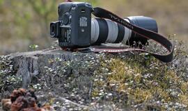 Baltarusijos fotokonkurso medžiagą teismas pripažino ekstremistine