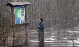 Bundantis pamarys šią savaitę laukia potvynio