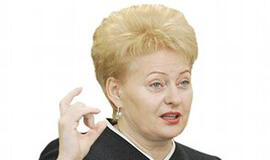 Dalia Grybauskaitė iššifruos ES galvosūkius