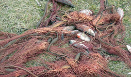 Leidimai pirkti tinklus bus išduodami tik verslinės žvejybos atstovams