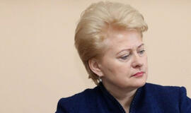 Dalia Grybauskaitė: "Įstatymų priėmimo procedūra turi atitikti Konstituciją"