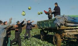 Lietuvoje finansiškai nesaugiausi - ūkininkai