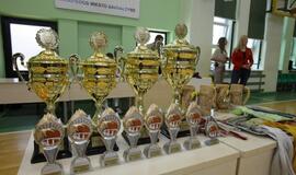 Finalinis šeimų krepšinio turnyras dėl Kazimiero budrio taurės