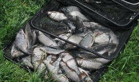 Brakonieriai pagauti traukiantys 100 metrų tinklą