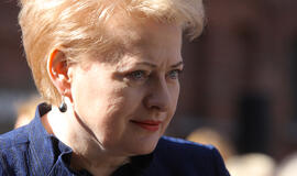 Prezidentė duos startą Lietuvos pirmininkavimo internetinei svetainei