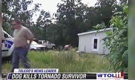 Tornadą išgyvenusį vaiką sudraskė šeimos draugų šuo