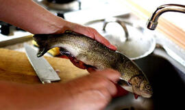 Kofermentas Q10 gali smarkiai sumažinti mirštamumą nuo širdies ligų