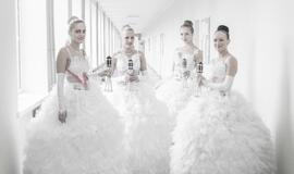 Klaipėdos valstybinė kolegija