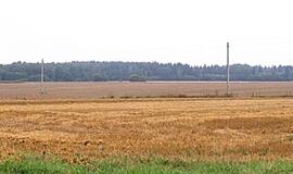 Ūkininkų nedžiugina nei derlius, nei kainos