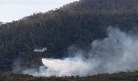 Japonijos Okinavos saloje sudužo JAV karinis sraigtasparnis