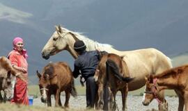 Kirgizai reikalauja kompensacijos už carinės Rusijos veiksmus