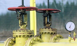 Klyvas Palmeris Papua Naujojoje Gvinėjoje aptiko 35 mlrd. JAV dolerių vertės dujų telkinį