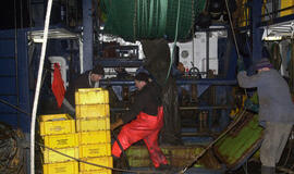 Lietuva ratifikavo Konvenciją dėl darbo jūrų laivyboje