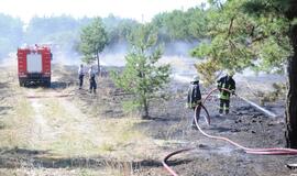 Gaisras Smiltynėje
