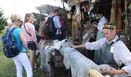 Amatų dienos Nidoje