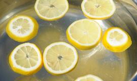 Amatų dienos Nidoje