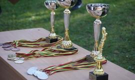 "Nida Football Fest 2013" turnyro taurė