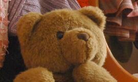 Pliušinis meškinas sumušė austro Felikso Baumgartnerio kryčio rekordą