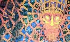 LSD - daugiau naudos, nei žalos?