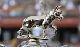 Kinologų bei tarnybinių šūnų čempionatas