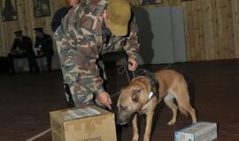 Kinologų bei tarnybinių šūnų čempionatas