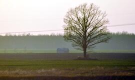 Žemės savininkai kompensacijų sulauks po 200 metų?