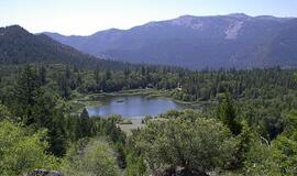 72 metų vyras 19 dienų klaidžiojo Kalifornijos miškuose