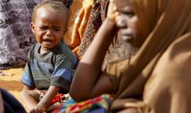 Afrikos gelbėjimo akcijos - puiki priedangos širma Afrikos grobuonims