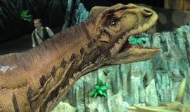 Moksleivis JAV rado dinozauro jauniklio fosiliją