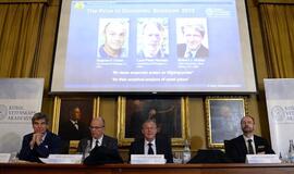 Nobelio ekonomikos premija - už kainų analizę