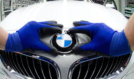 Pavogė, pasinaudojo ir grąžino