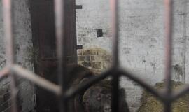 Iš Klaipėdos zoologijos sodo konfiskuoti meškėnai