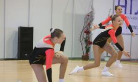 Baltijos miestų sąjungos aerobinės gimnastikos varžybos Klaipėdoje