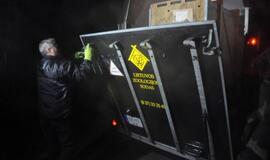 Iš Klaipėdos zoologijos sodo konfiskuoti meškėnai