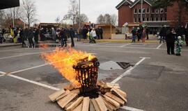 Neringos gimtadienis