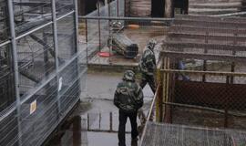 Iš Klaipėdos zoologijos sodo konfiskuoti meškėnai