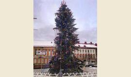 "Baisiosios" Panevėžio eglutės kaina - 300 litų