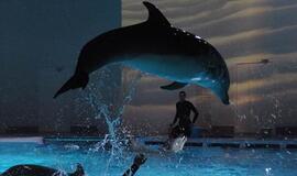 Klaipėda: savaitgalio renginių gidas