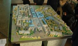 Renginys senamiesčio turguje