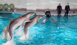 Savaitgalio renginiai Klaipėdoje