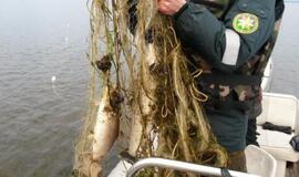 Lietuvoje brakonierių sumažėjo daugiau nei 3 kartus