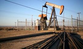 Naftos gavyba Lietuvoje mažėja