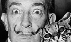 Jau rytoj Klaipėdoje bus galima aplankyti Salvadoro Dali kūrinių parodą